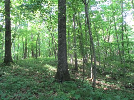 Property for sale in Polk County, Wisconsin