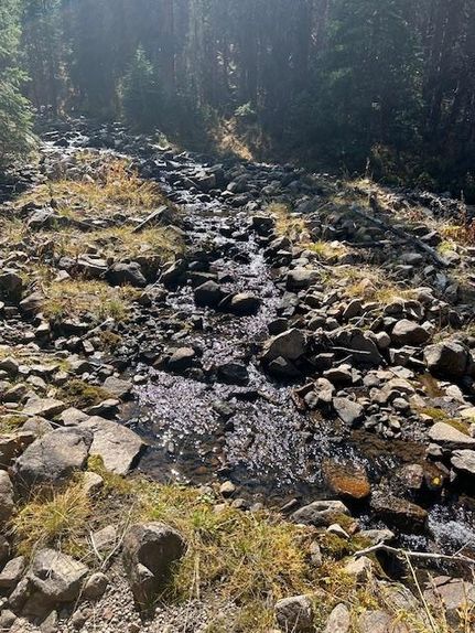 Undeveloped Land for sale in Chaffee County, Colorado