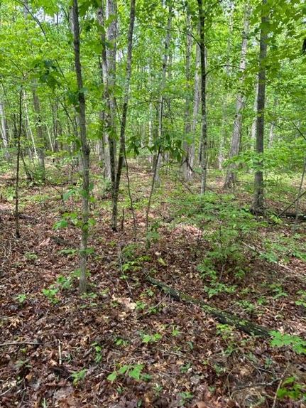 Property for sale in Fentress County, Tennessee
