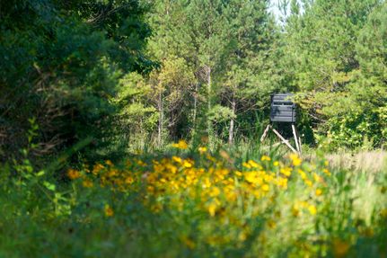 Property for sale in Leake County, Mississippi