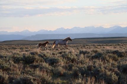 Property for sale in Sublette County, Wyoming