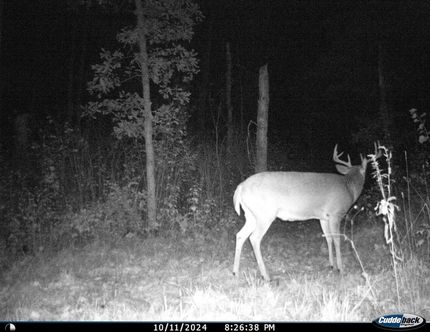 Property in Becker County, Minnesota