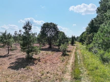 Property for sale in Lonoke County, Arkansas