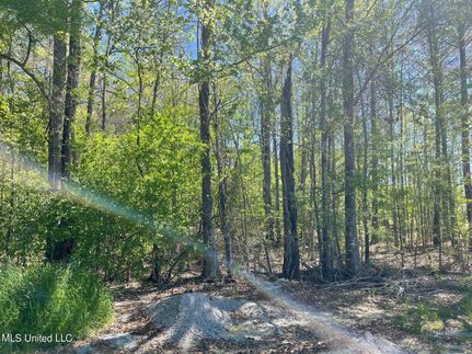 Commercial Property for sale in Rankin County, Mississippi