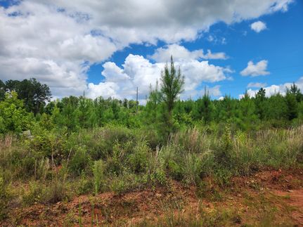 Property for sale in Tallapoosa County, Alabama