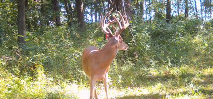 Property for sale in Clark County, Missouri