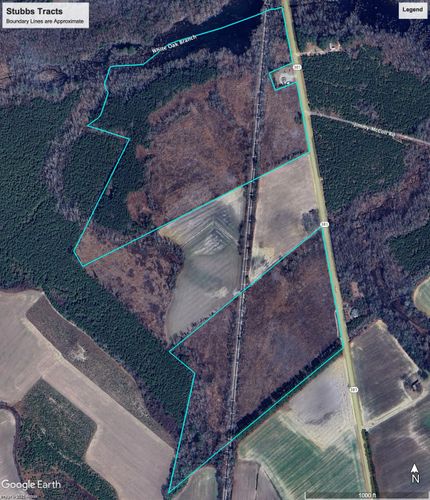 Undeveloped Land for sale in Marlboro County, South Carolina