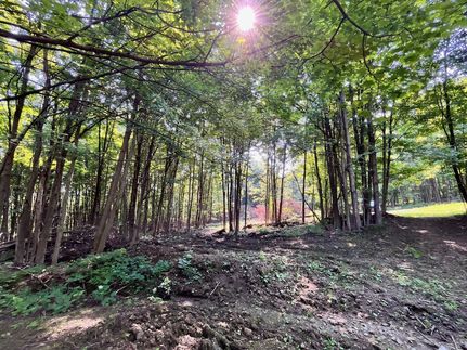 Property in Cattaraugus County, New York