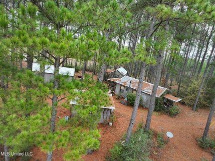 Timberland Property for sale in Jefferson Davis County, Mississippi