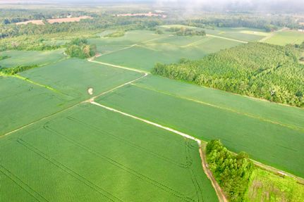 Undeveloped Land for sale in Sumter County, South Carolina