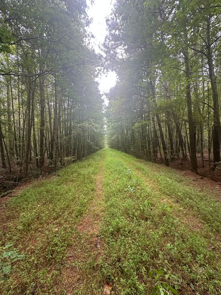 Timberland Property for sale in Duplin County, North Carolina