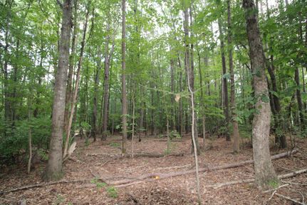 Property for sale in York County, South Carolina