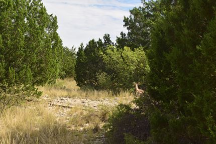 Property for sale in Val Verde County, Texas