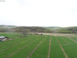 Property for sale in Umatilla County, Oregon