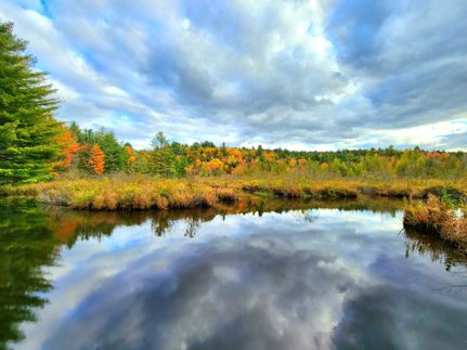 Hunting Land for sale in Lewis County, New York