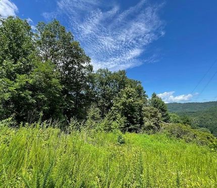 Property for sale in Rabun County, Georgia