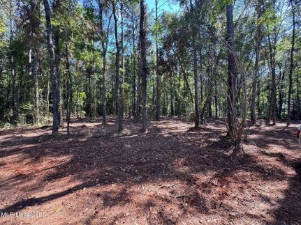 Timberland Property for sale in Pike County, Mississippi
