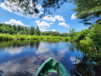Riverfront Property for sale in Lewis County, New York