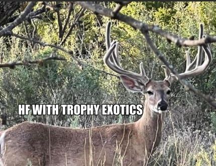 Property in Brown County, Texas