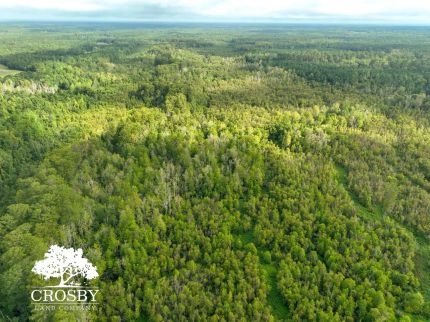 Property for sale in Bamberg County, South Carolina