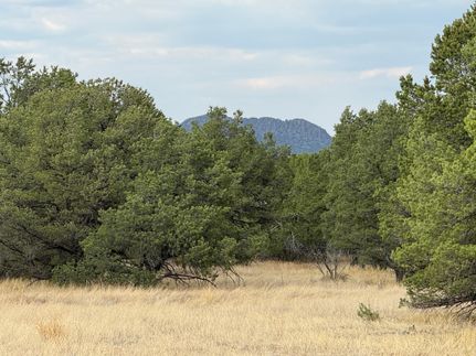 Horse Property for sale in Cibola County, New Mexico