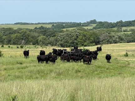 Property for sale in Holt County, Nebraska