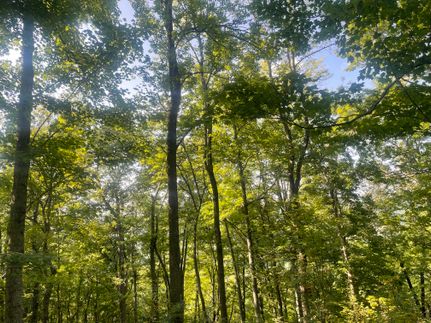 Property for sale in Dearborn County, Indiana