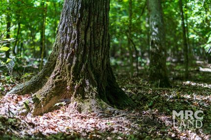 Property for sale in Nacogdoches County, Texas