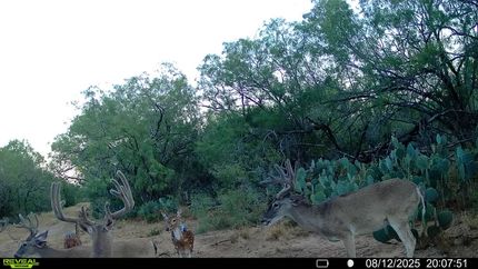 Property for sale in Atascosa County, Texas