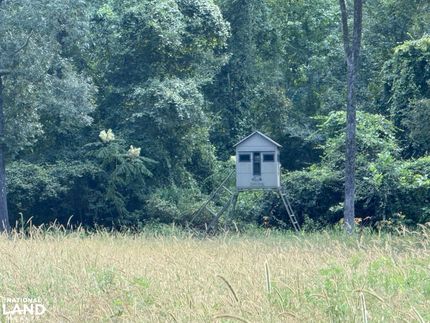 Property for sale in Arkansas County, Arkansas