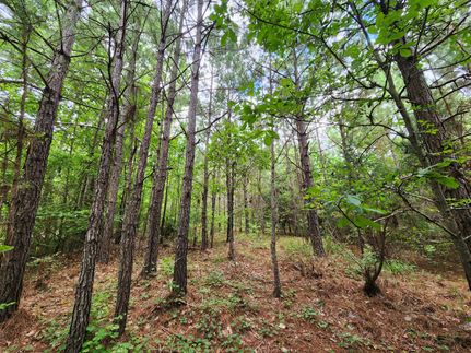 Timberland Property for sale in Tallapoosa County, Alabama