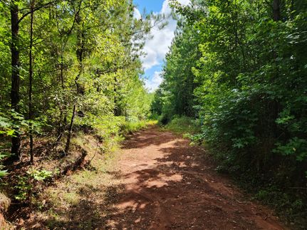 Property for sale in Tallapoosa County, Alabama