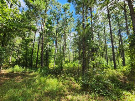 Property for sale in Tallapoosa County, Alabama