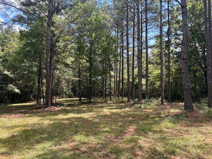 Hunting Land for sale in Benton County, Mississippi