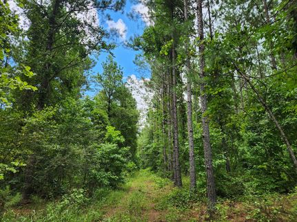 Timberland Property for sale in Tallapoosa County, Alabama