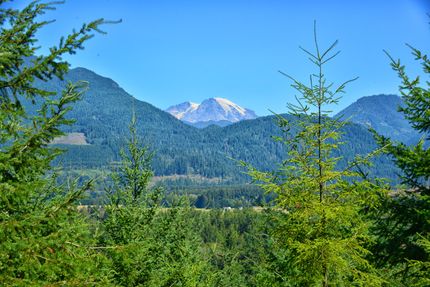 Residential Property for sale in Lewis County, Washington