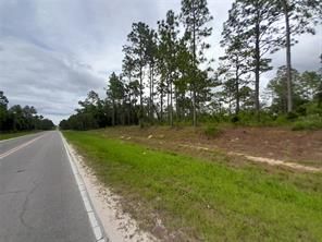 Property for sale in Levy County, Florida