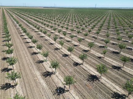 Property for sale in Fresno County, California