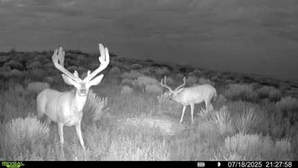 Property in Kearny County, Kansas