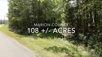 Undeveloped Land for sale in Marion County, Alabama