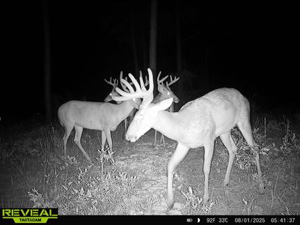 Farm Property for sale in Worth County, Georgia