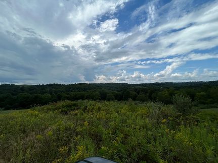 Undeveloped Land for sale in Guernsey County, Ohio