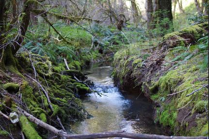 Property in Josephine County, Oregon
