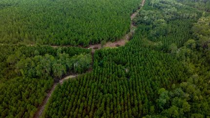 Property in Toombs County, Georgia