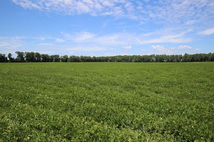 Undeveloped Land for sale in Martin County, North Carolina