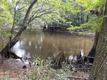 Property for sale in Florence County, South Carolina