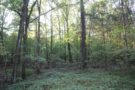 Timberland Property for sale in Marshall County, Mississippi