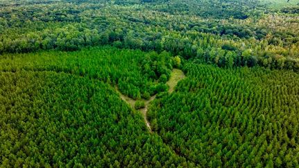 Property for sale in Macon County, Georgia