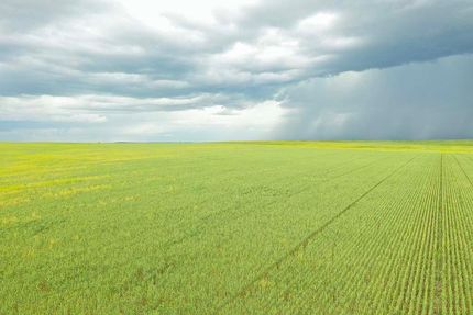 Farm Property for sale in Butte County, South Dakota