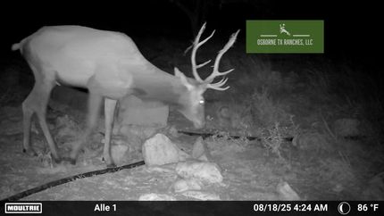 Property for sale in Edwards County, Texas